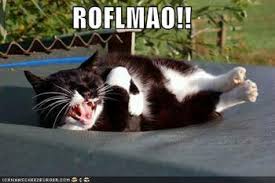 rotflmao