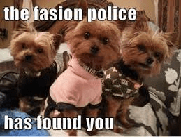 fashion police 2