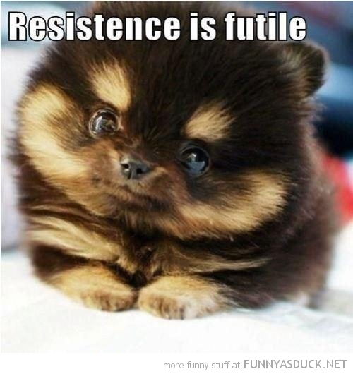 resistance-futile