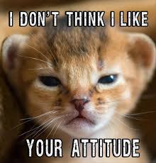 attitude