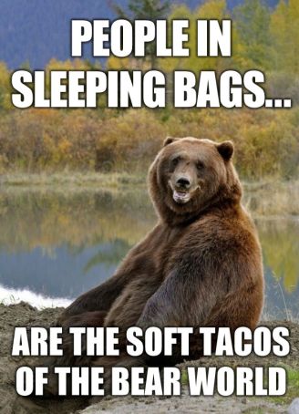 RV-Jokes-Bears-soft-tacos