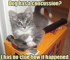 concussion