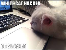 hacker