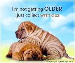 wrinkles1
