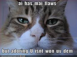 This image has an empty alt attribute; its file name is flaws1.jpg