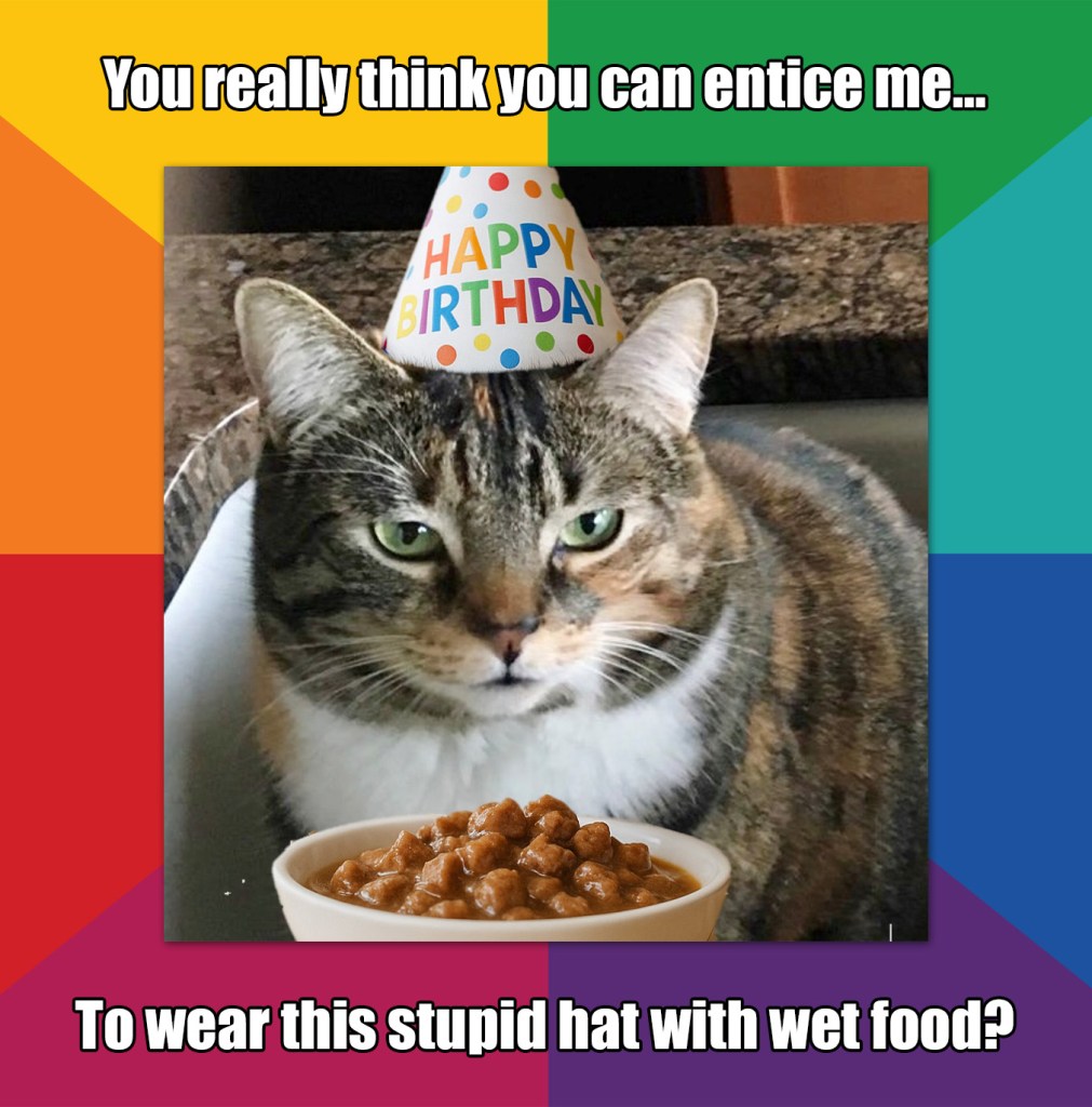 History of Birthdays – Annette Mori, image size:1011x1024